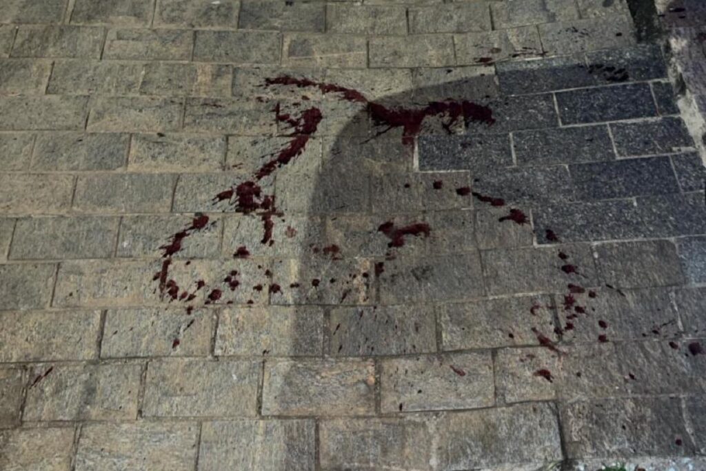 tenente-aposentado,-vizinho-mata-cadela-com-2-tiros-na-cabeca-em-sp.-video