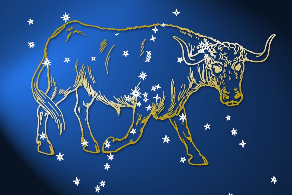 temporada-de-touro:-momento-de-equilibrio-para-os-signos-de-terra
