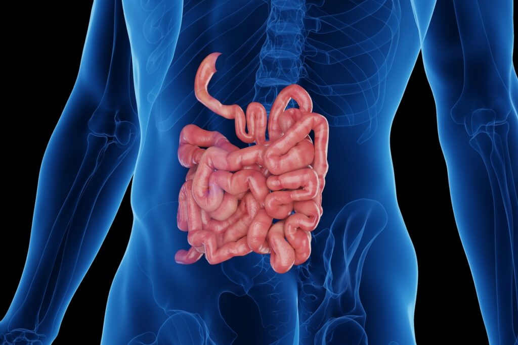 coloproctologista-cita-alimentos-com-potencial-de-inflamar-o-intestino