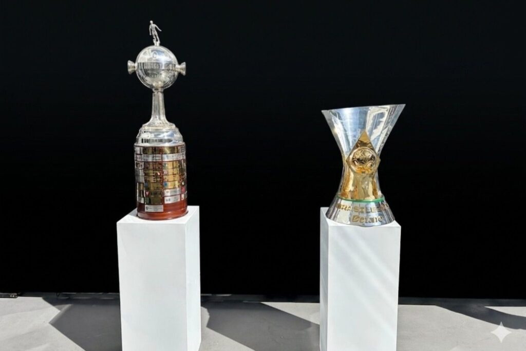 botafogo-x-internacional:-glorioso-levara-tacas-da-libertadores-e-do-brasileirao-2024-ao-mane-garrincha