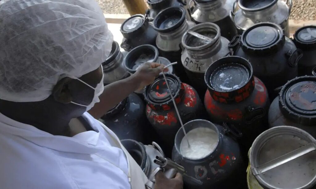 governo-anuncia-pacote-de-investimentos-para-producao-de-leite