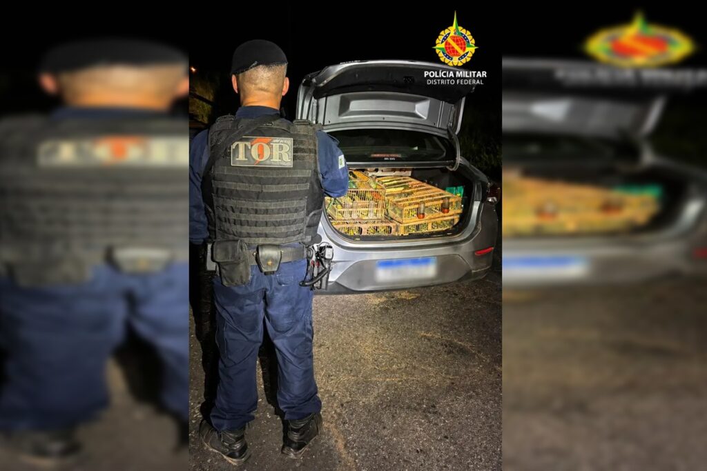 avaliados-em-r$-40-mil,-321-passaros-silvestres-sao-apreendidos-no-df