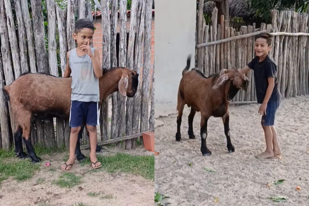 menino-e-bode-conquistam-a-web-e-amizade-sera-retratada-em-livro