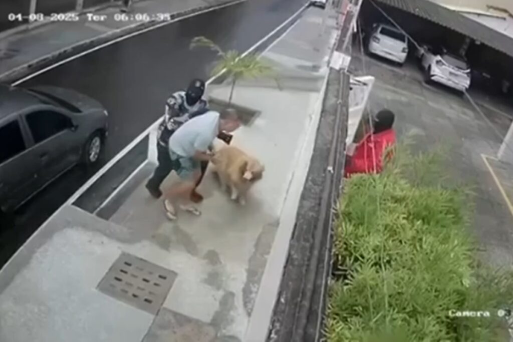 operacao-investiga-quadrilha-armada-que-sequestrou-homem-e-cachorro