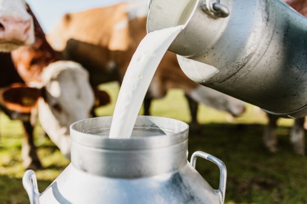 governo-lula-libera-r$-909-milhoes-para-producao-de-leite-e-reforma-agraria