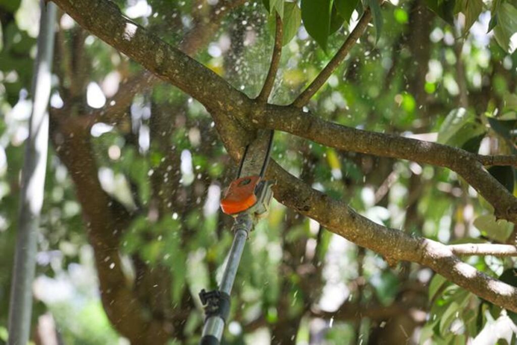 enderecos-de-planaltina-ficam-6-horas-sem-energia-nesta-terca-(28/4)