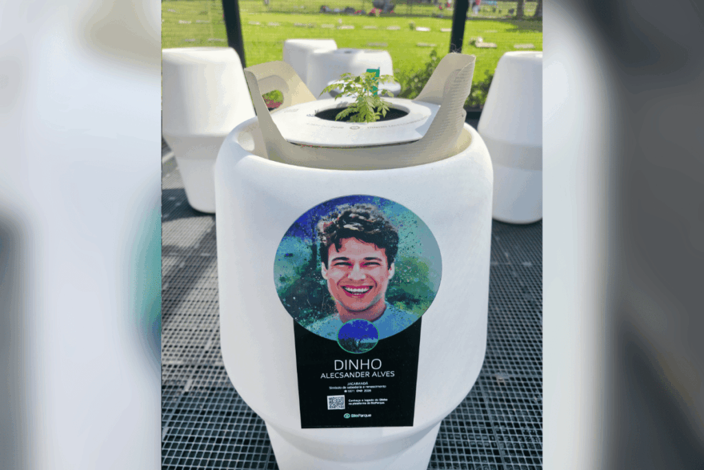 sementes-do-memorial-dos-mamonas-comecam-a-germinar.-fas-podem-visitar