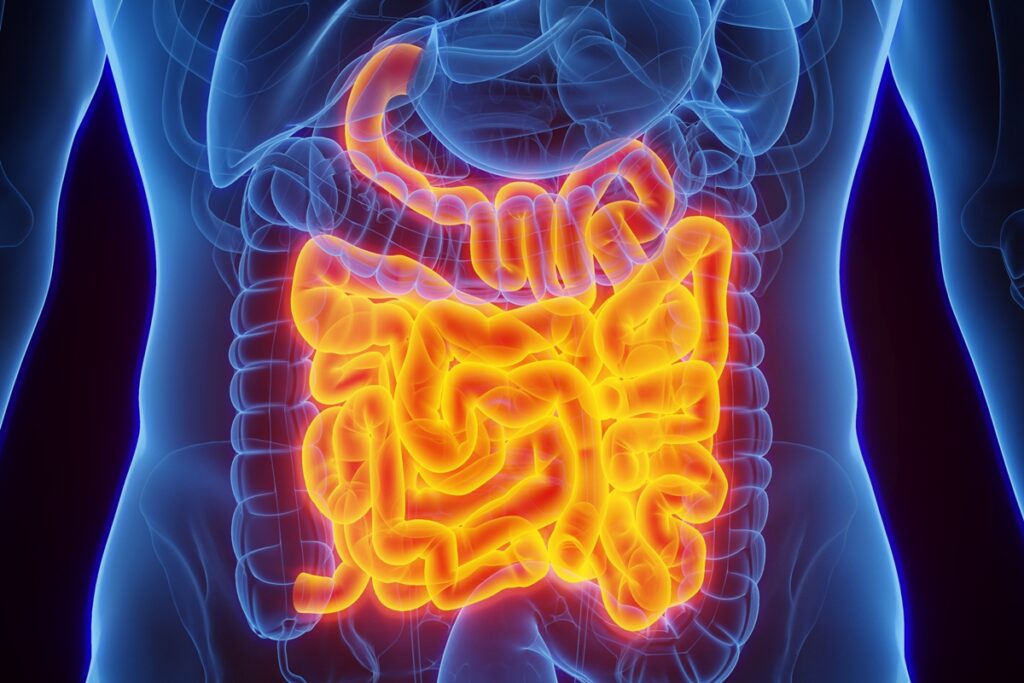 sintomas-que-podem-ser-causados-pela-sindrome-do-intestino-irritavel