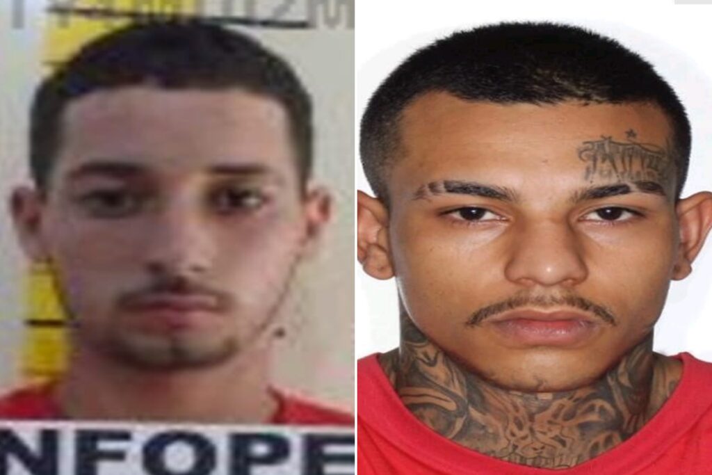 pcc:-suspeitos-de-tortura-e-decapitacao-morrem-em-confronto-com-a-pm.-veja-video