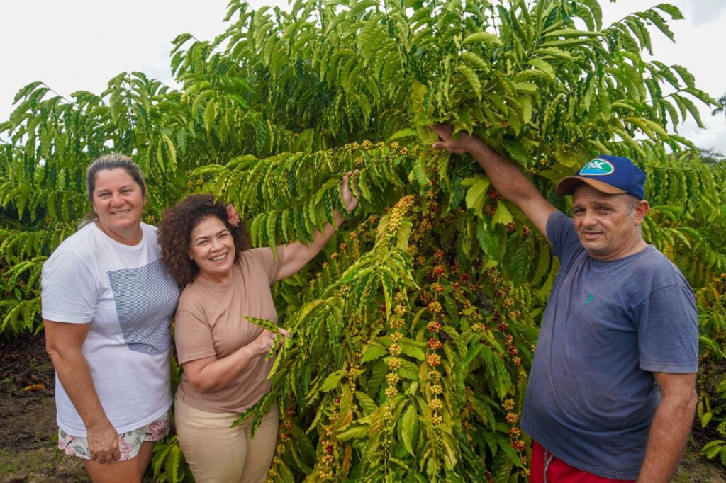 Programa da ABDI eleva renda de cafeicultores em 80% e impulsiona inclusão social no Vale do Juruá