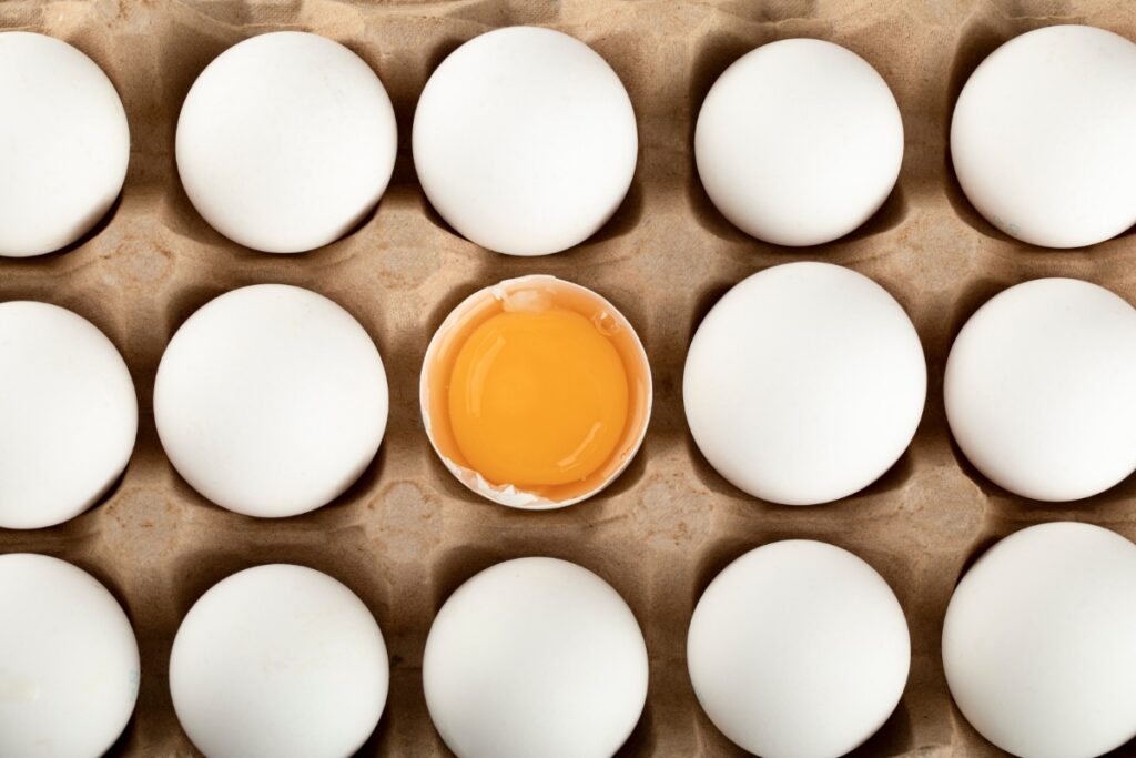 alem-do-ovo:-como-diversificar-fontes-de-proteina-na-dieta-sem-enjoar