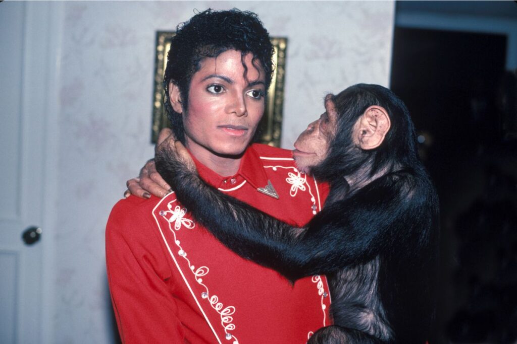 o-que-aconteceu-com-bubbles,-o-macaco-de-michael-jackson