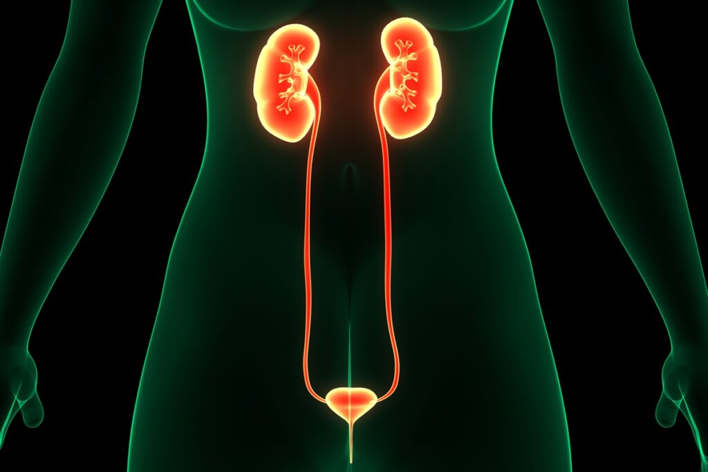 urinar-poucas-vezes-pode-ser-sinal-de-alerta-da-saude-da-bexiga-e-rins