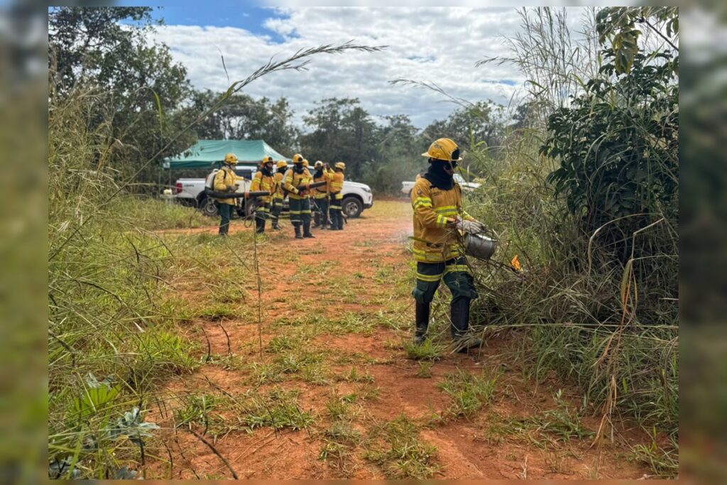 incendio-atinge-estacao-ecologica-em-planaltina-durante-manejo-de-fogo