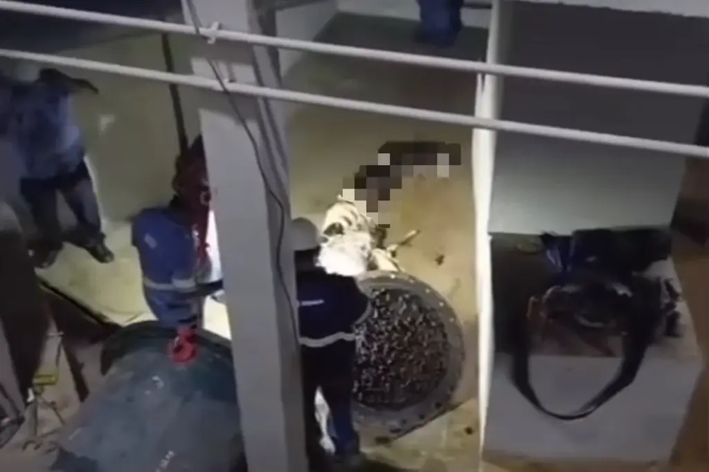 falta-de-agua-em-bh:-imagens-mostram-egua-sendo-retirada-de-adutora.-veja-video