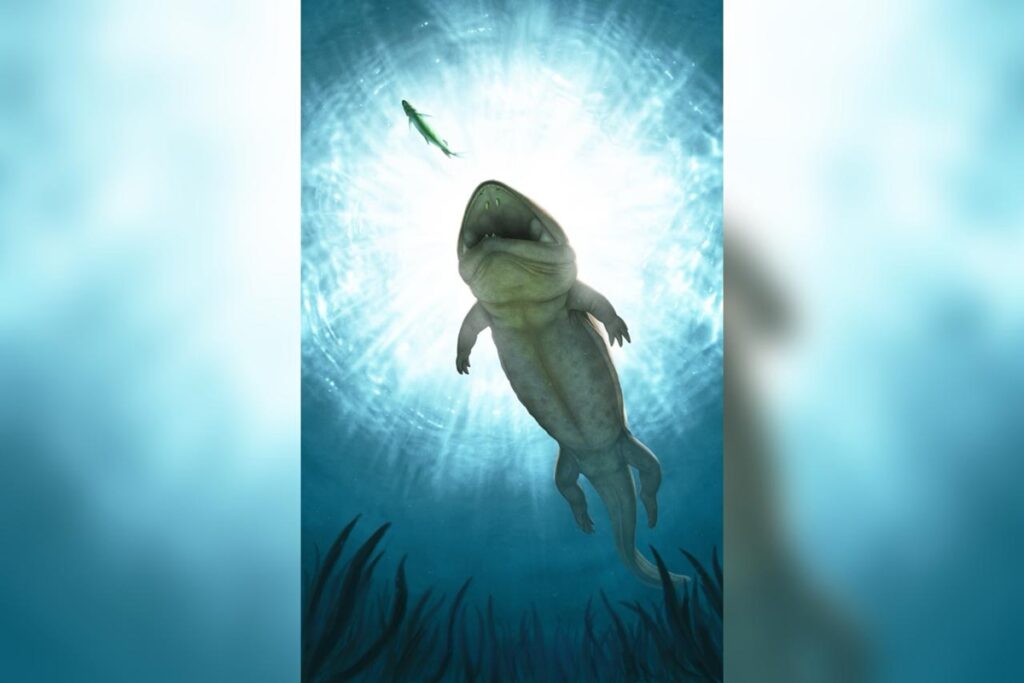 trepador-de-areia:-fossil-de-anfibio-e-achado-por-criador-de-galinhas