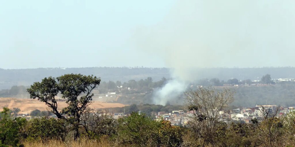 mma-lanca-edital-para-arborizar-periferia-urbana-de-pequenas-cidades