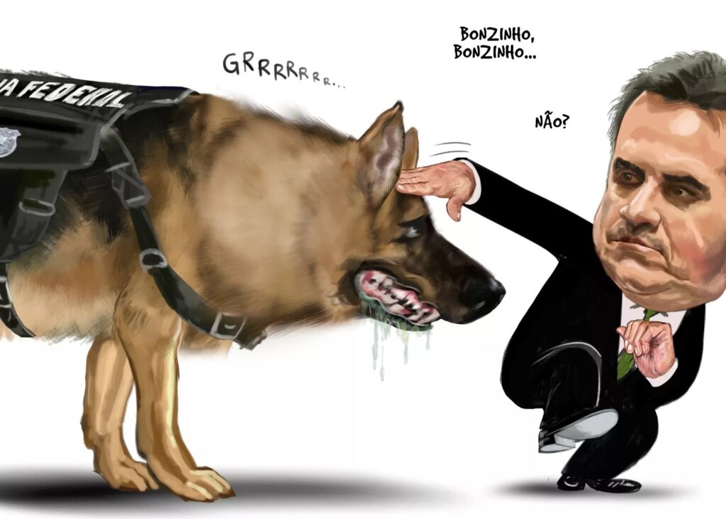 charge-do-aroeira