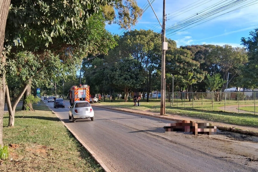cavalo-morre-apos-ser-atropelado-por-carro-em-via-do-df