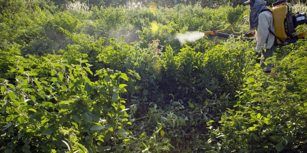 governo-vai-monitorar-presenca-de-agrotoxico-em-bacias-hidrograficas