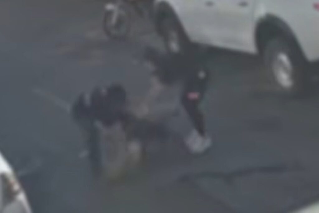 american-bully-foge-de-casa-e-mata-vira-lata-em-ataque-brutal-no-guara.-veja-video