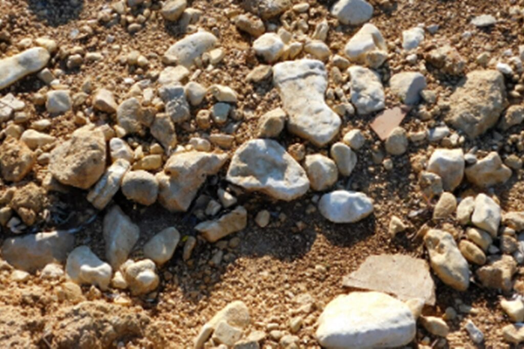 cade-analisa-venda-de-mineradora-brasileira-de-terras-raras-aos-eua