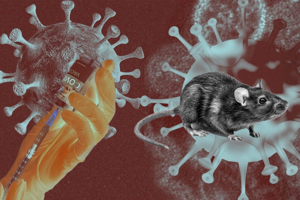hantavirus:-franca-endurece-regras-de-isolamento-apos-1o-caso-positivo