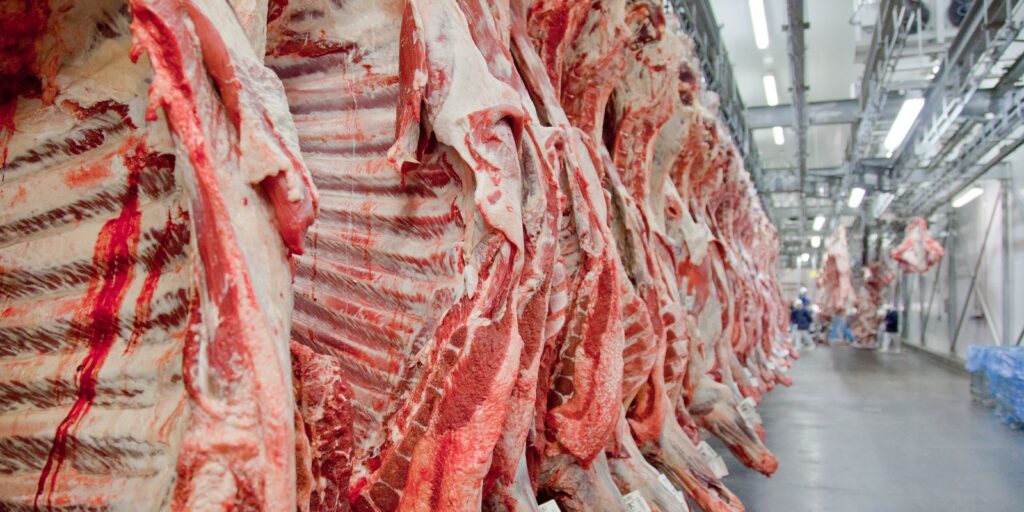 Governo promete reverter veto da UE a carnes e animais brasileiros governo-promete-reverter-veto-da-ue-a-carnes-e-animais-brasileiros