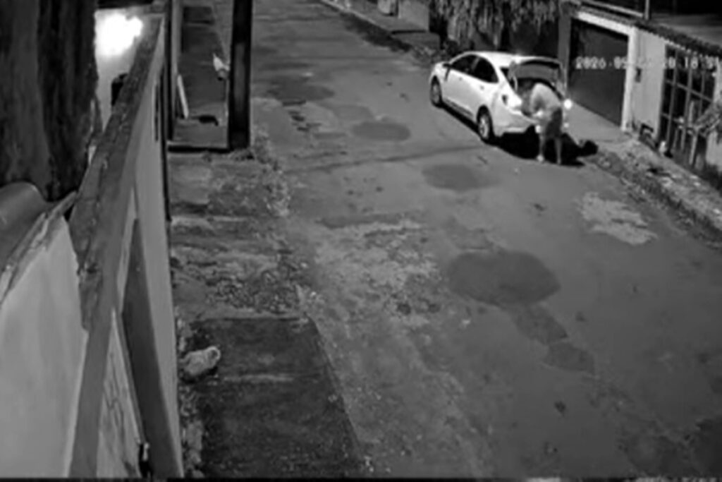 homem-flagrado-arremessando-e-abandonando-cao-em-rua-de-mg-e-indiciado
