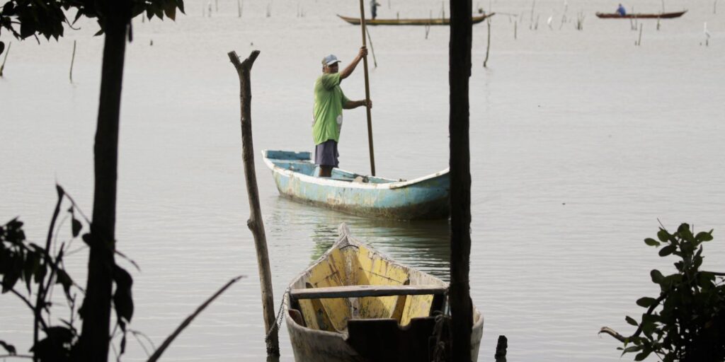 Conferências estaduais de aquicultura e pesca serão em junho e jullho conferencias-estaduais-de-aquicultura-e-pesca-serao-em-junho-e-jullho