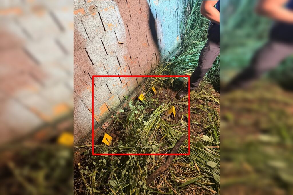 morto-por-divida-de-drogas:-homem-que-matou-rival-e-preso-no-entorno-do-df.-veja-video