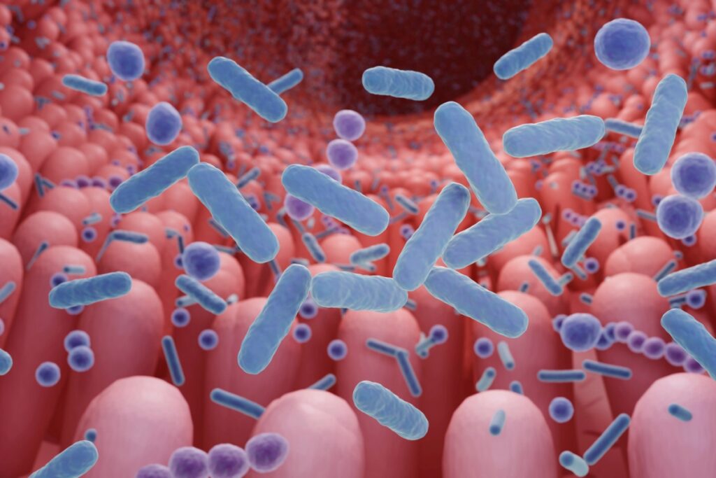 perda-de-microbiota-muda-celulas-que-protegem-o-intestino.-entenda