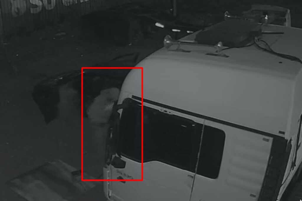 corpo-de-homem-esfaqueado-durante-sexo-foi-escondido-embaixo-de-caminhao.-veja-video