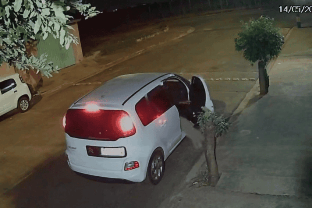 cachorro-e-abandonado-e-corre-atras-do-carro-do-tutor.-veja-video