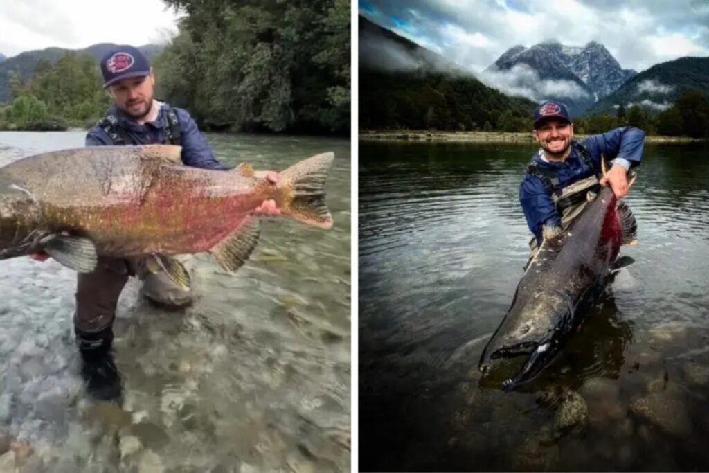 “peixe-da-minha-vida”,-diz-pescador-que-fisgou-maior-salmao-do-mundo.-video