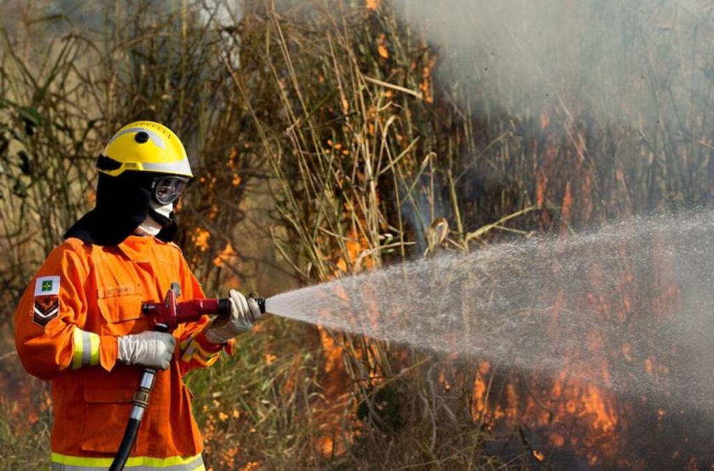 gdf-decreta-emergencia-ambiental-para-reforcar-combate-as-queimadas