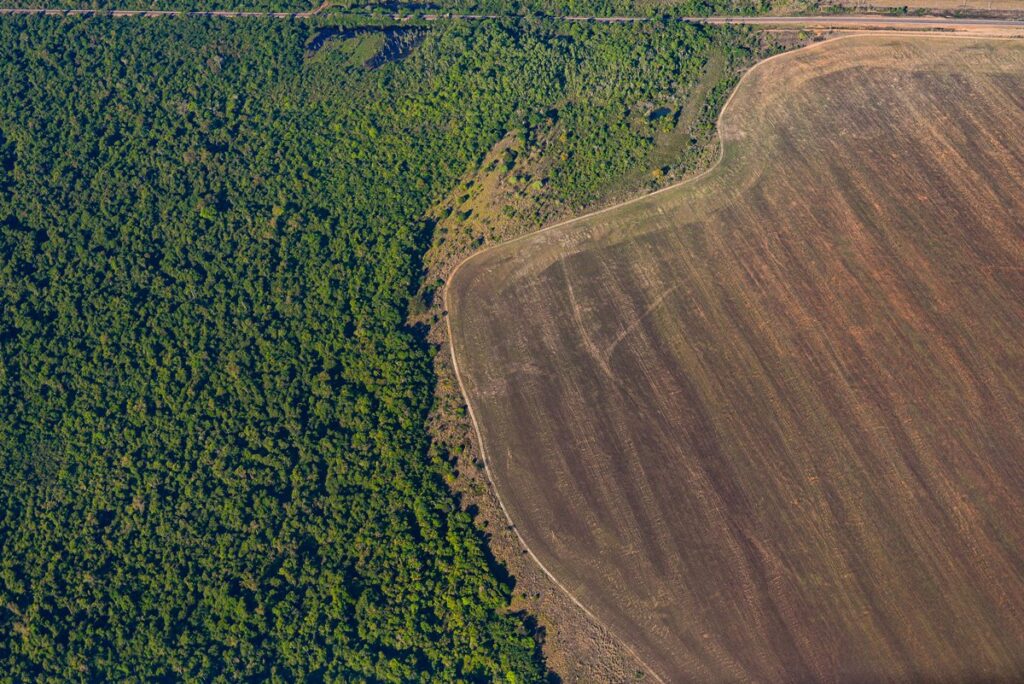 amazonia-pode-virar-savana-se-desmatamento-avancar-mais,-aponta-estudo