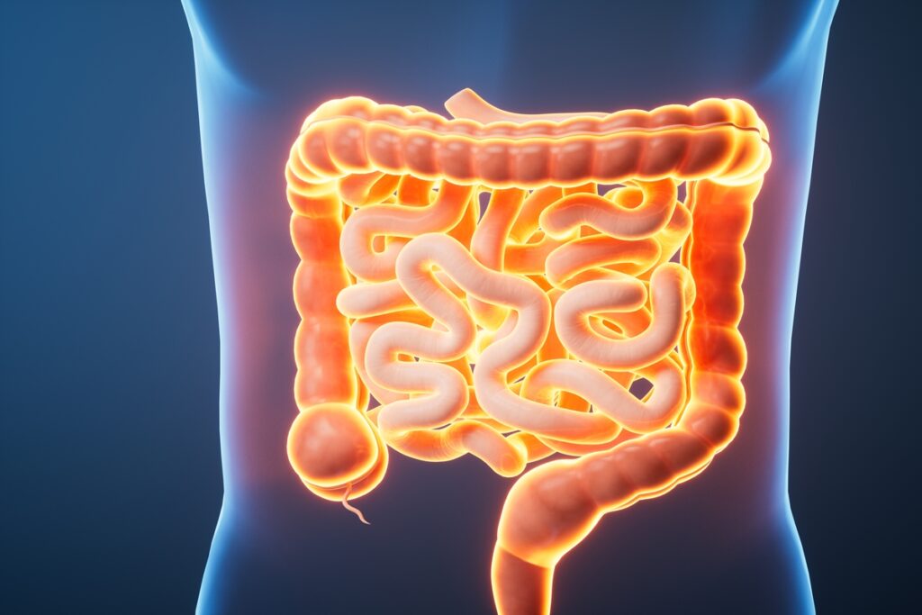 estudo-aponta-potencial-da-propolis-marrom-contra-cancer-de-colon