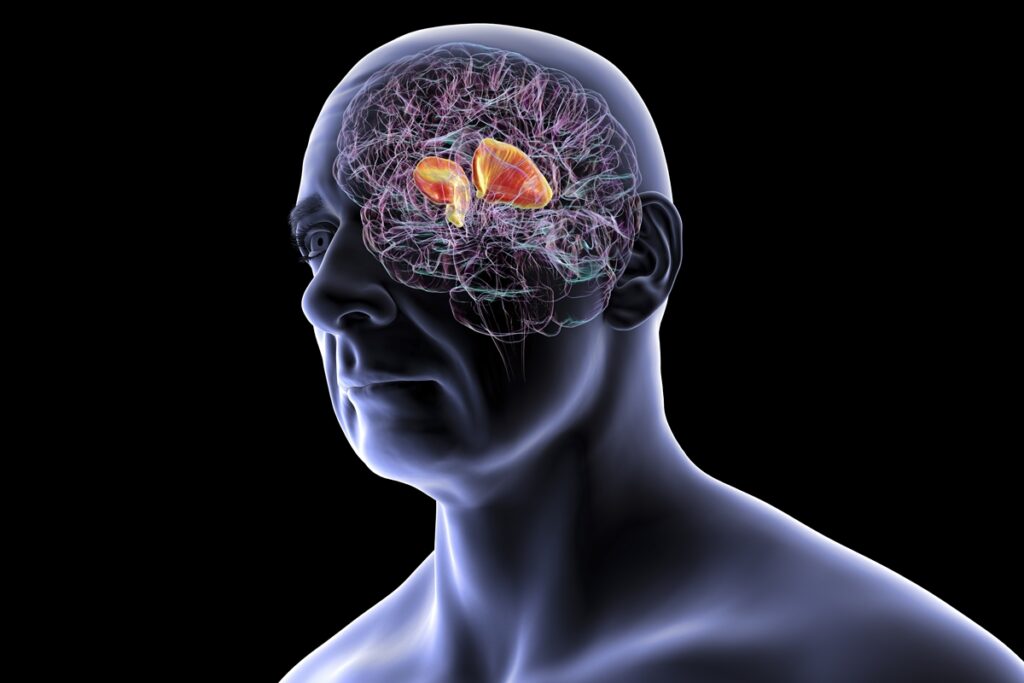 neurocirurgiao-aponta-as-bebidas-alcoolicas-que-mais-afetam-o-cerebro