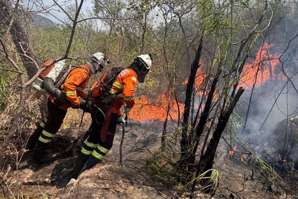 gdf-autoriza-selecao-para-contratar-150-brigadistas-florestais