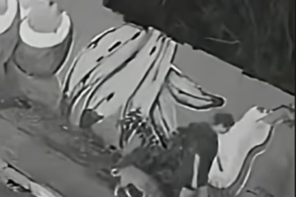 mulher-cai-em-bueiro-apos-tampa-ceder-em-passeio-com-cao.-video