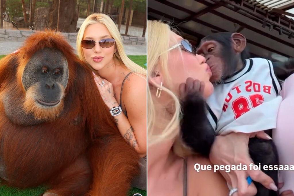 equipe-de-virginia-repudia-acusacoes-de-racismo-apos-polemica;-veja