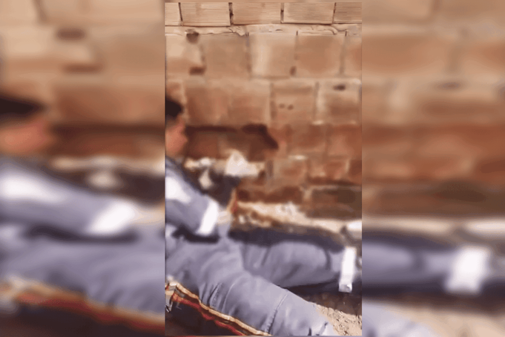 recem-nascido-abandonado-em-vala-entre-muros-e-resgatado,-mas-nao-resiste