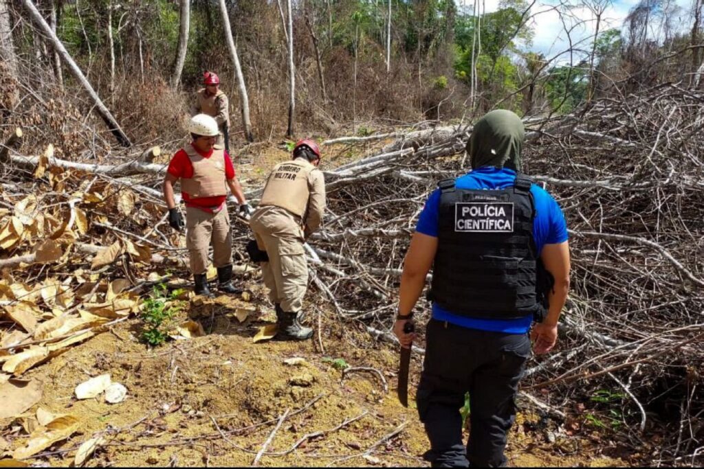 camara-aprova-pl-que-barra-uso-de-embargos-em-fiscalizacoes-ambientais