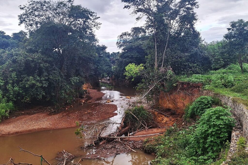 gdf-abre-edital-para-recuperar-vegetacao-na-bacia-do-rio-melchior