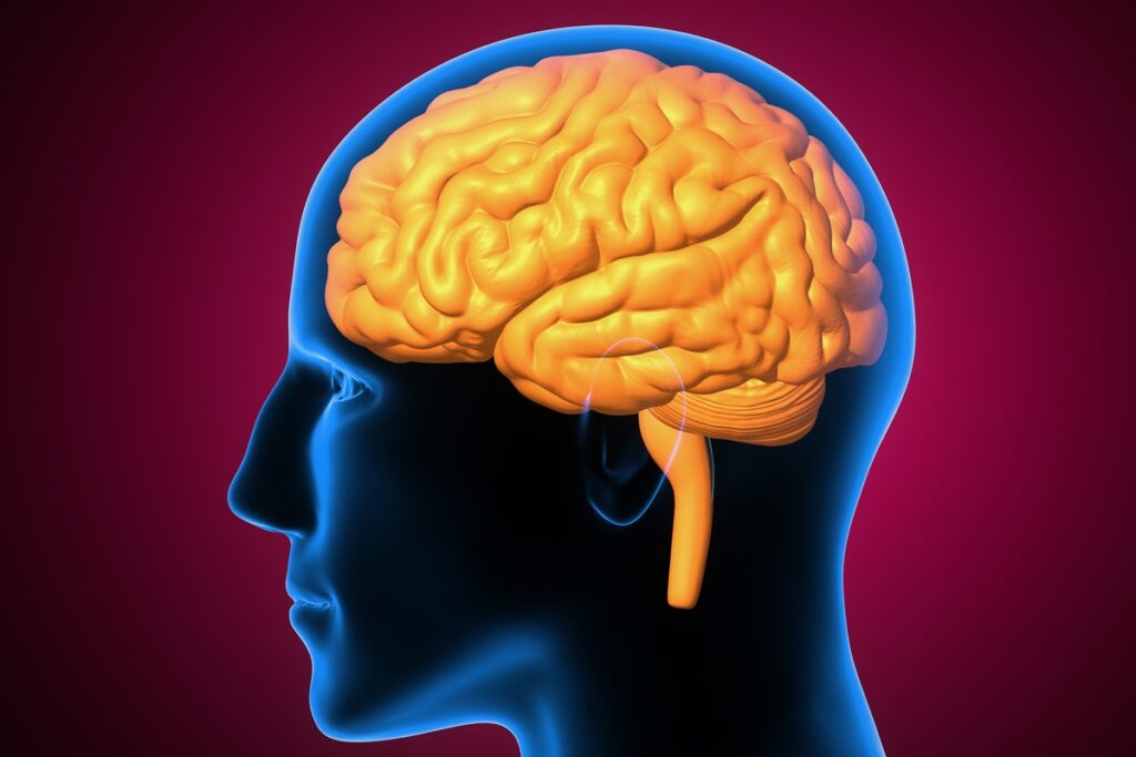 medico-aponta-tempo-para-o-cerebro-se-recuperar-apos-consumo-de-alcool