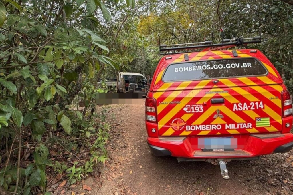 mulher-morre-ao-ser-atropelada-pelo-proprio-carro-em-fazenda
