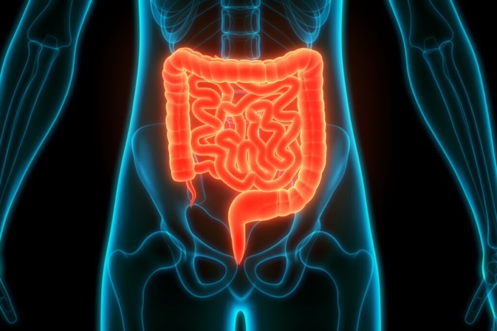 como-funciona-o-novo-exame-do-sus-para-detectar-cancer-de-intestino