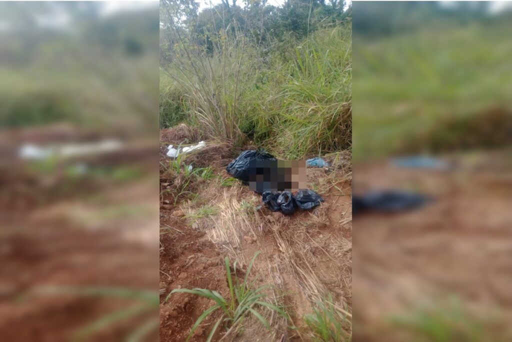 seis-caes-sao-encontrados-mortos-dentro-de-sacos-de-lixo-no-entorno.-veja-video