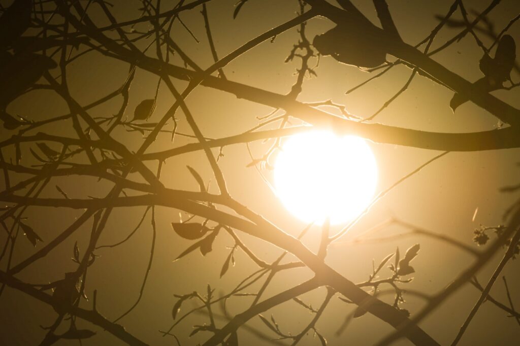 clima:-brasil-enfrenta-temporais-e-calor-extremo-nesta-6a;-confira